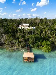 Mi Querido Bacalar - Gato