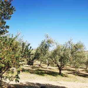 VILLA ALESSI - dimora storica