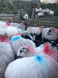 Gleann Loic Farmhouse