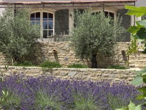 Maisons de vacances Mas Cerisiers : photos des chambres