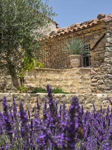 Maisons de vacances Mas Cerisiers : photos des chambres