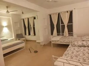 The Banyan Shelters - Borlai