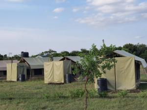 Ereto Mara Paradise Camp