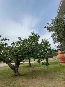 Mare&Natura - Ботрічелло