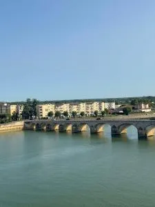 Le Jean Jaurès - Vue imprenable sur la Saône - 雷普隆吉斯