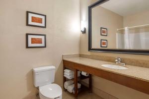 Comfort Suites McKinney-Allen