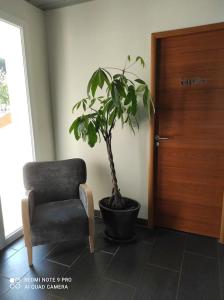 Gites des hauts de Jurieux Des activités pour tous !