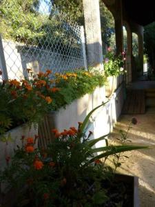 Appartements Happy Home Levens : photos des chambres