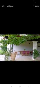 Vintage Garden House