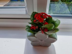 Cosy, quiet, studio flat