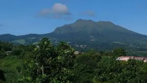 Magnifique T2 en toute sérénité - Le Lorrain