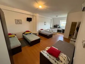 Ana & Patrik #1 - Novi Sip