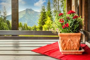 Schnaitstadl-Alm Selbstversorgerhütte