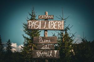 Camere de închiriat Pași Liberi