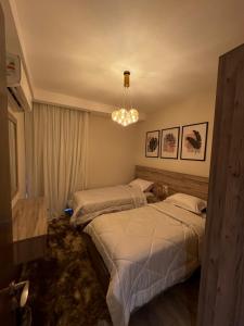 شقه فندقيه فاخره ابراج Zed Tower الشيخ زايد