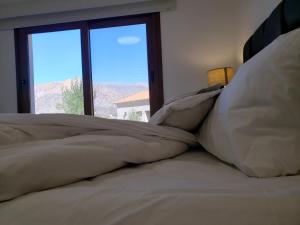 Apartamentos Buenas Vides Central