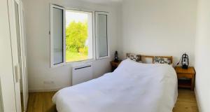 Les ptits marins cordés