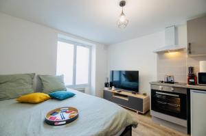 Le Cocoon, studio centre, wifi, stationnement