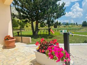 Gazdinstvo Popovic,Kucka Korita-Podgorica