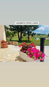 Gazdinstvo Popovic,Kucka Korita-Podgorica