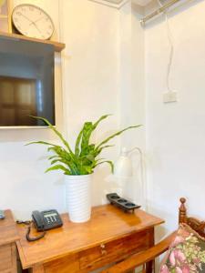 Penthouse Unit with Ocean View at Sonias Island Stay