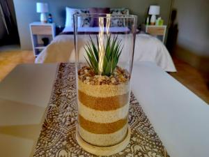Duikers self catering Accommodation