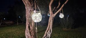 Il giardino di FraFa img13