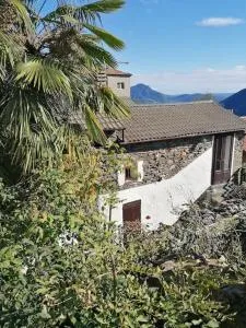 La baita delle palme - Natura e relax tra il Lago Maggiore e i monti - Steppio