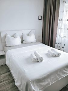 Cosy apartment Fagaras