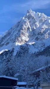 Appartements Appartement vue Montblanc 5mn piste2 : photos des chambres