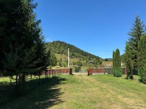 Vacation House Lunca Bradului