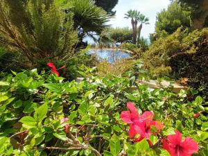 NUEVO APTO BALCON DE PONIENTE 1 A LÍNEA PLAYA TORRE 2 LUXE SM CON AIRE, PISCINA,JAR VISTAS ESPECTACULARES AL MAR De BENIDORM
