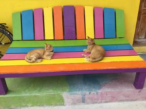 Travellers Palm Backpackers