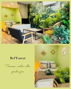 Appartements Bel forest , Climatise, terrasse : photos des chambres