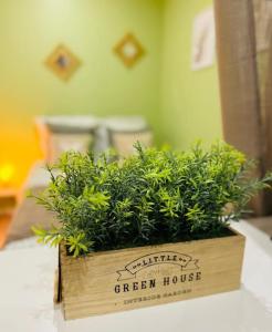 Appartements Bel forest , Climatise, terrasse : photos des chambres