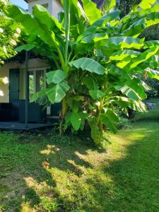 Maisons de vacances Belle Maison Sud Seine-et-Marne : photos des chambres
