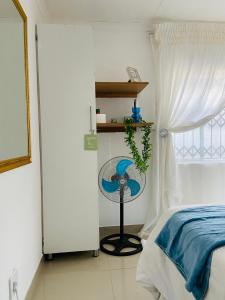 The Fern Corner Guest House 1