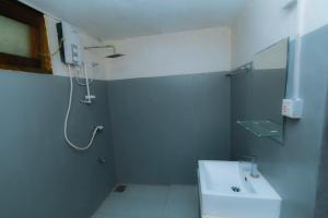 Rainforest River Edge