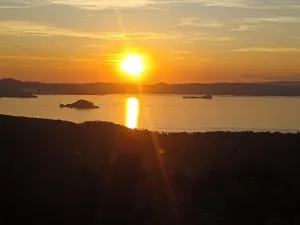 Reginella - Zepponami