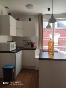 Appartements Chaleureux T2 au style VINTAGE - rue gratuite : photos des chambres