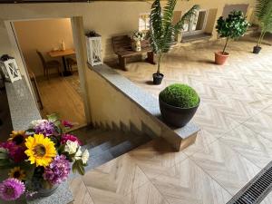 Cozy Central Studio Brasov