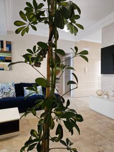 Séjour Confortable dans un appartement Élégant