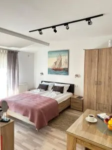 Apartments Velickovic - 索科矿泉村