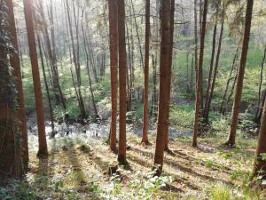 Les Céramiques du Pèlerin