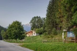 Masetto dei Mughi - Ronco