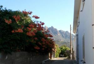 VILLALoddo1 frontemare Tertenia img31