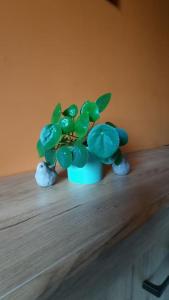 Létape Saint-Joseph