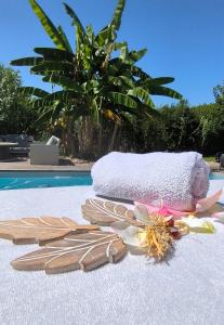 B&B / Chambres d'hotes Cocon de Verdure avec piscine chambre lit king-size 2m : photos des chambres