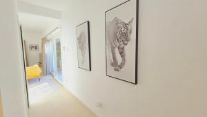 Costa Smeralda e Natura img1