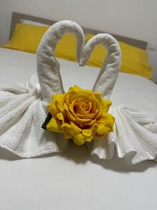 Casa Vacanze La Rosa Gialla